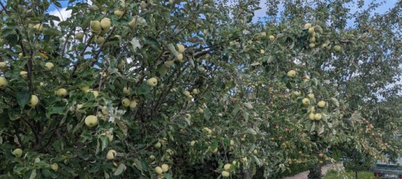 Land in Erfurt, Germany No. 262962 2