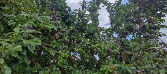 Land in Erfurt, Germany No. 262962 13