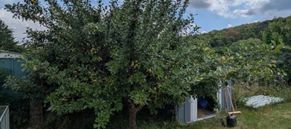 Land in Erfurt, Germany No. 262962 15