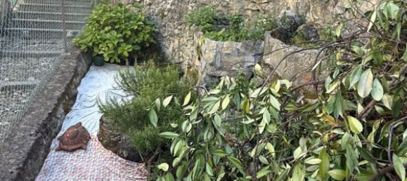 2-salle Maison à Blevio, Italy No. 289126 23