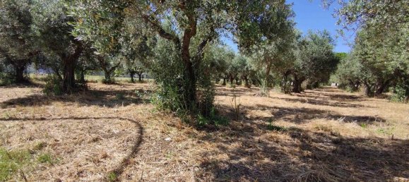 Casa de 2 habitaciónes en Scerni, Italy No. 223761 16