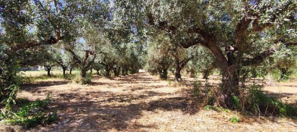 Casa de 2 habitaciónes en Scerni, Italy No. 223761 13