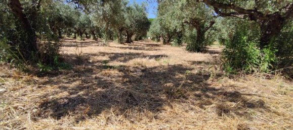 Casa de 2 habitaciónes en Scerni, Italy No. 223761 15