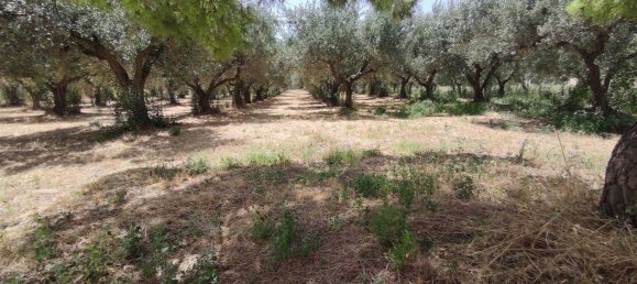 Casa de 2 habitaciónes en Scerni, Italy No. 223761 21