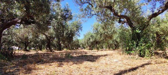 Casa de 2 habitaciónes en Scerni, Italy No. 223761 14
