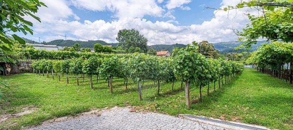 4 bedrooms House in Dornelas, Portugal No. 30649 13