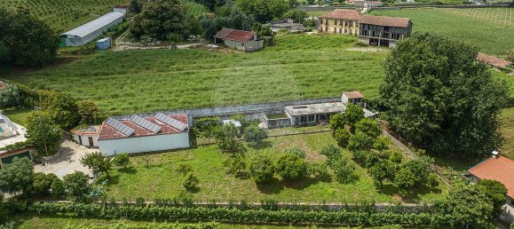 4 bedrooms House in Dornelas, Portugal No. 30649 10