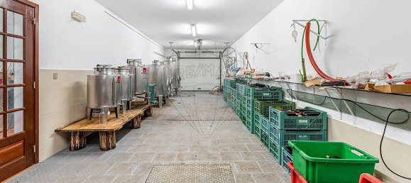 4 bedrooms House in Dornelas, Portugal No. 30649 46