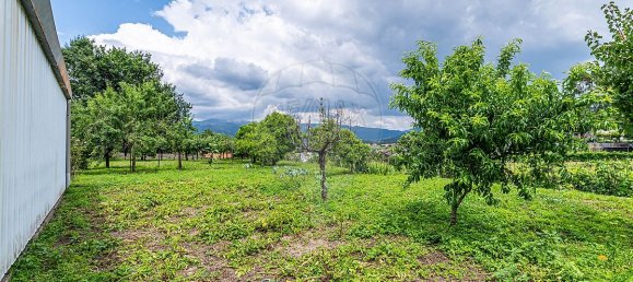 4 bedrooms House in Dornelas, Portugal No. 30649 17