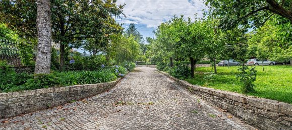 4 bedrooms House in Dornelas, Portugal No. 30649 16