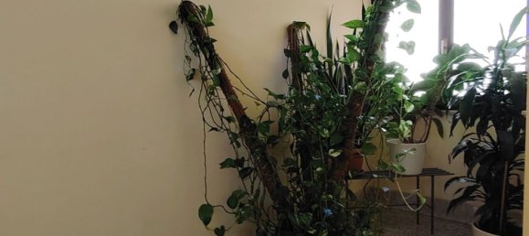 5 Schlafzimmer Wohnung in Racconigi, Italy, Nr. 328504 25