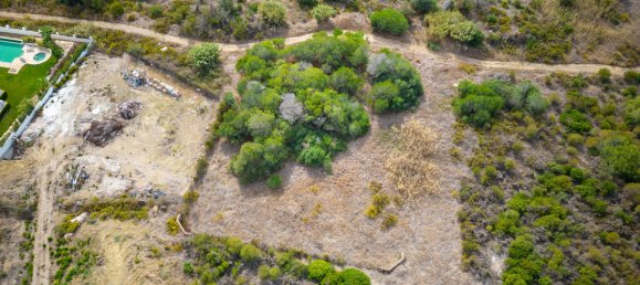  Land in Cadiz, Spain No. 29393 2