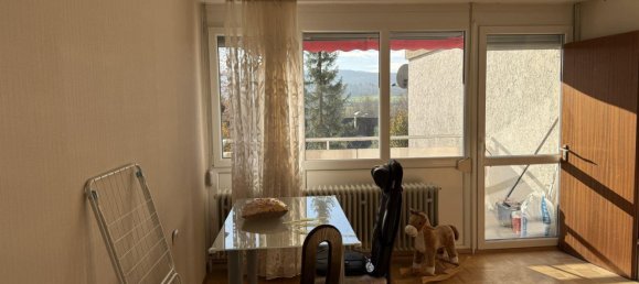 Apartamento de 1 dormitorio en Baden-Wurttemberg, Germany No. 100868 34