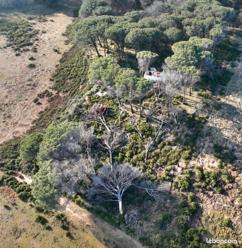  Land in Vauvert, France No. 316120