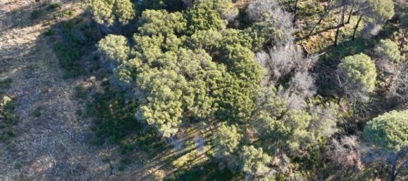  Land in Vauvert, France No. 316120 3