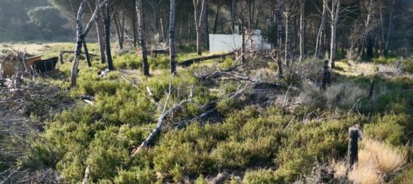  Land in Vauvert, France No. 316120 2