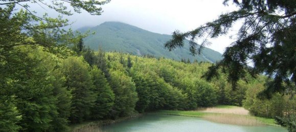 Studio in Fivizzano, Italy No. 1431 9