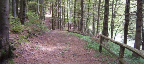 Studio in Fivizzano, Italy No. 1431 2