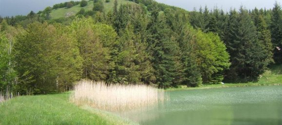 Studio in Fivizzano, Italy No. 1431 6