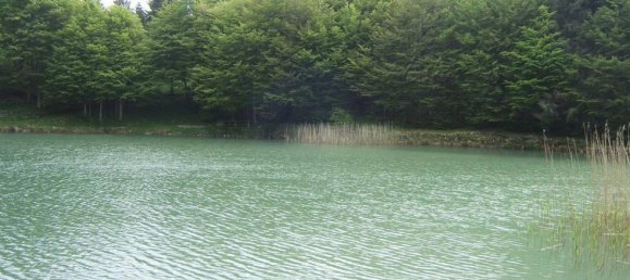 Studio in Fivizzano, Italy No. 1431 7