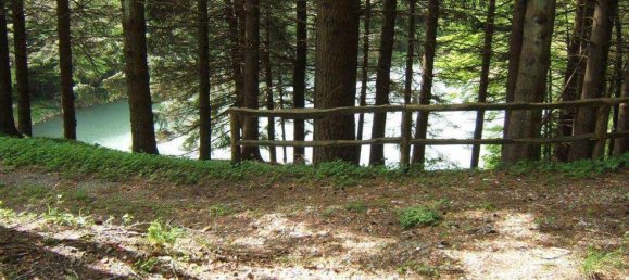 Studio in Fivizzano, Italy No. 1431 3