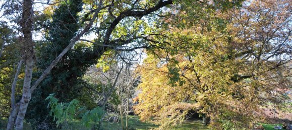 9 Schlafzimmer Gebäude in Montefiascone, Italy, Nr. 102941 47