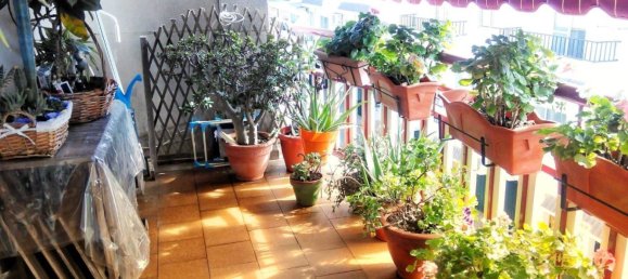 3 bedrooms Apartment in Caceres, Spain No. 130606 2