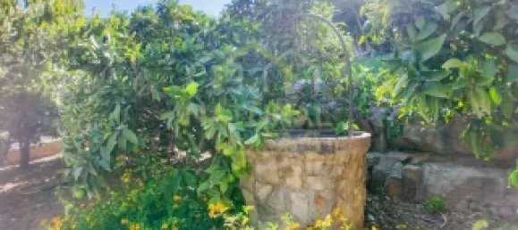 3 bedrooms House in Loule, Portugal No. 118196 16