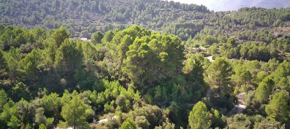 Grundstück in Orba, Spain, Nr. 284963 3