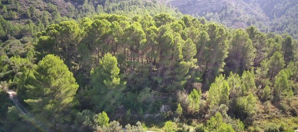 Grundstück in Orba, Spain, Nr. 284963 7