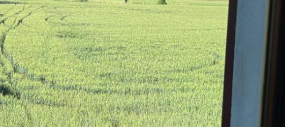 6 rooms House in Montegrotto Terme, Italy No. 173324 27