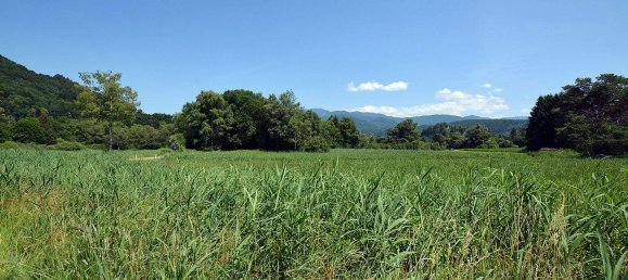 Дом с 10 комнатами в Коблах, Австрия № 156260 26