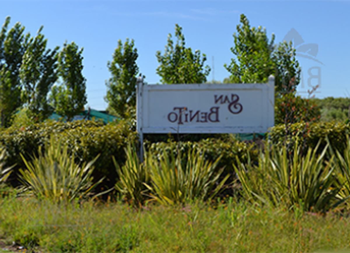  Land in Tigre, Argentina No. 116002