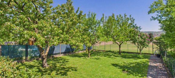 6 rooms House in Stetten, Austria No. 213268 34