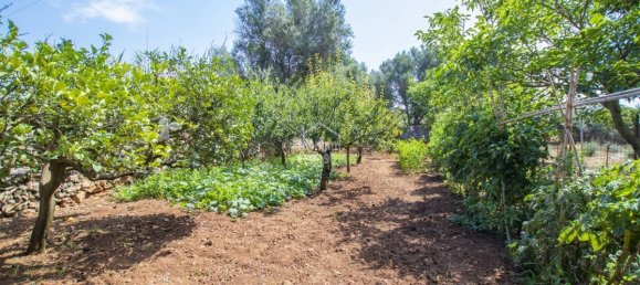 Villa T5 em Sant Lluis, Spain N.º 1465 5