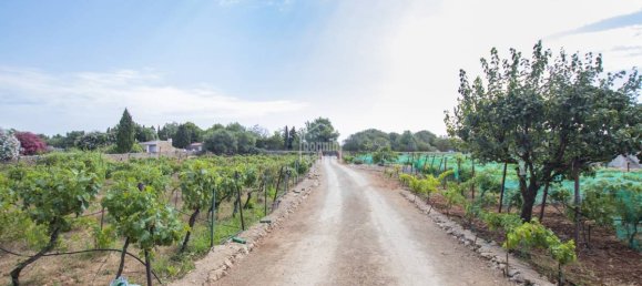 Villa T5 em Sant Lluis, Spain N.º 1465 3