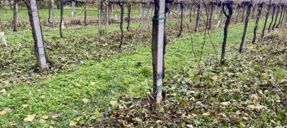 Terreno de 1 habitación en Carpi, Italy No. 234068 5