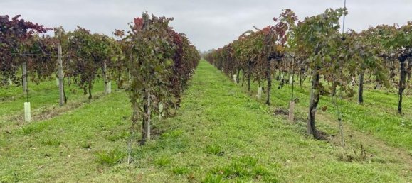 Terreno de 1 habitación en Carpi, Italy No. 234068 3
