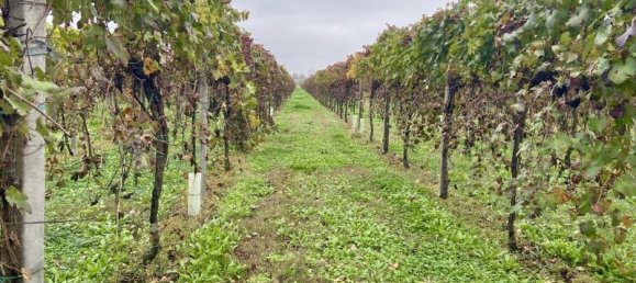 Terreno de 1 habitación en Carpi, Italy No. 234068 10