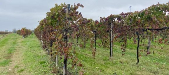 Terreno de 1 habitación en Carpi, Italy No. 234068 12