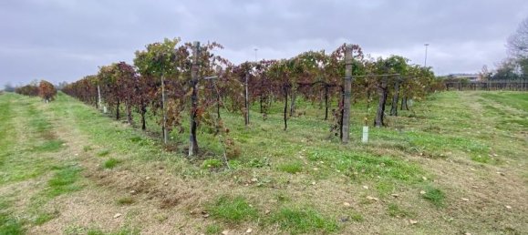 Terreno de 1 habitación en Carpi, Italy No. 234068 9