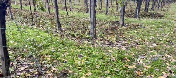 Terreno de 1 habitación en Carpi, Italy No. 234068 4