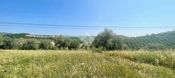 19070m² Land in Penne, Italy No. 87911 13