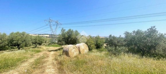 19070m² Land in Penne, Italy No. 87911 14