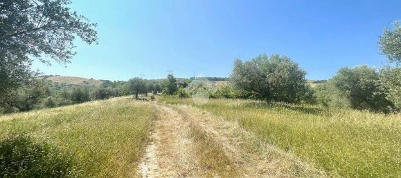 19070m² Land in Penne, Italy No. 87911 6