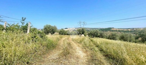 19070m² Land in Penne, Italy No. 87911 5