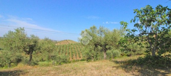 19070m² Land in Penne, Italy No. 87911 3