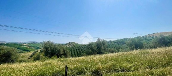 19070m² Land in Penne, Italy No. 87911 17