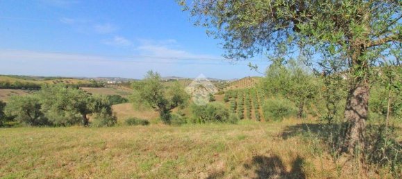 19070m² Land in Penne, Italy No. 87911 2