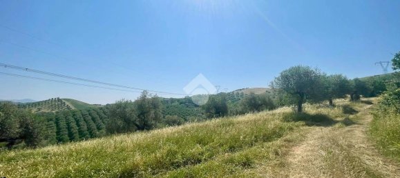 19070m² Land in Penne, Italy No. 87911 16